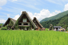 夏の白川郷