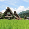 夏の白川郷