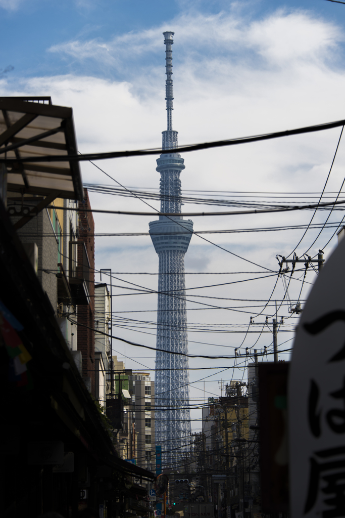 _DSC0984