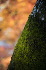 _DSC5890