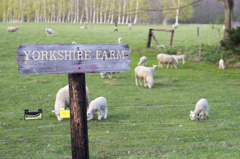 YORKSHIRE FARM