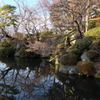 冬の京都