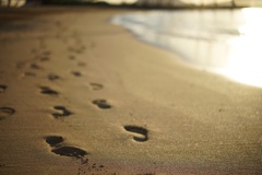 foot prints