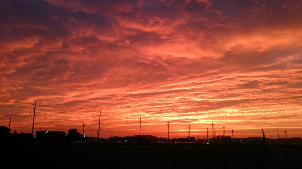 太陽からの贈り物？