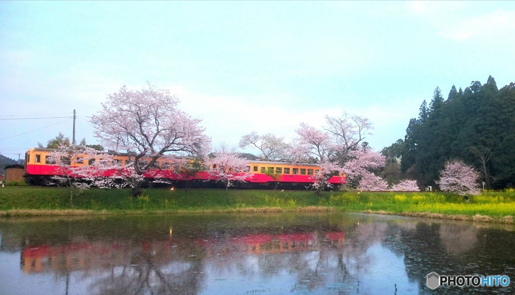 田植え前の限定コラボ