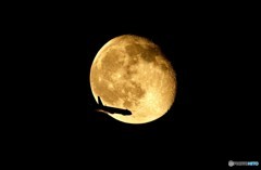 お月様と飛行機