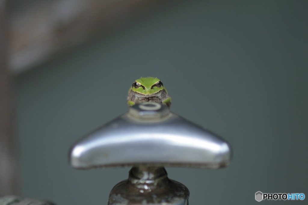 水道代払ってから使ってケロｯ！