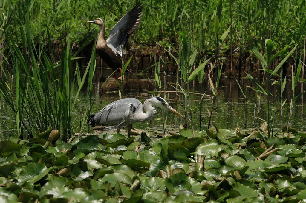 あなた、気が長いのね♪