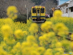 ローカル鉄道の春