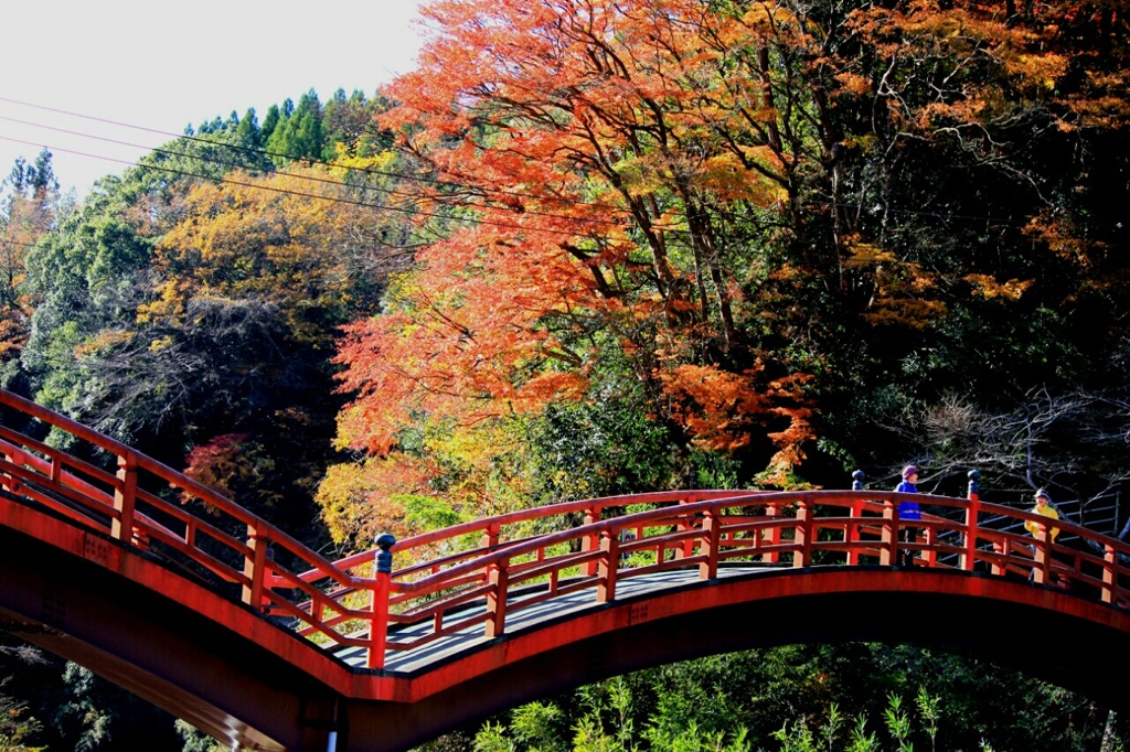 養老渓谷の紅葉