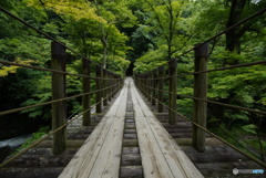 新緑の花貫渓谷