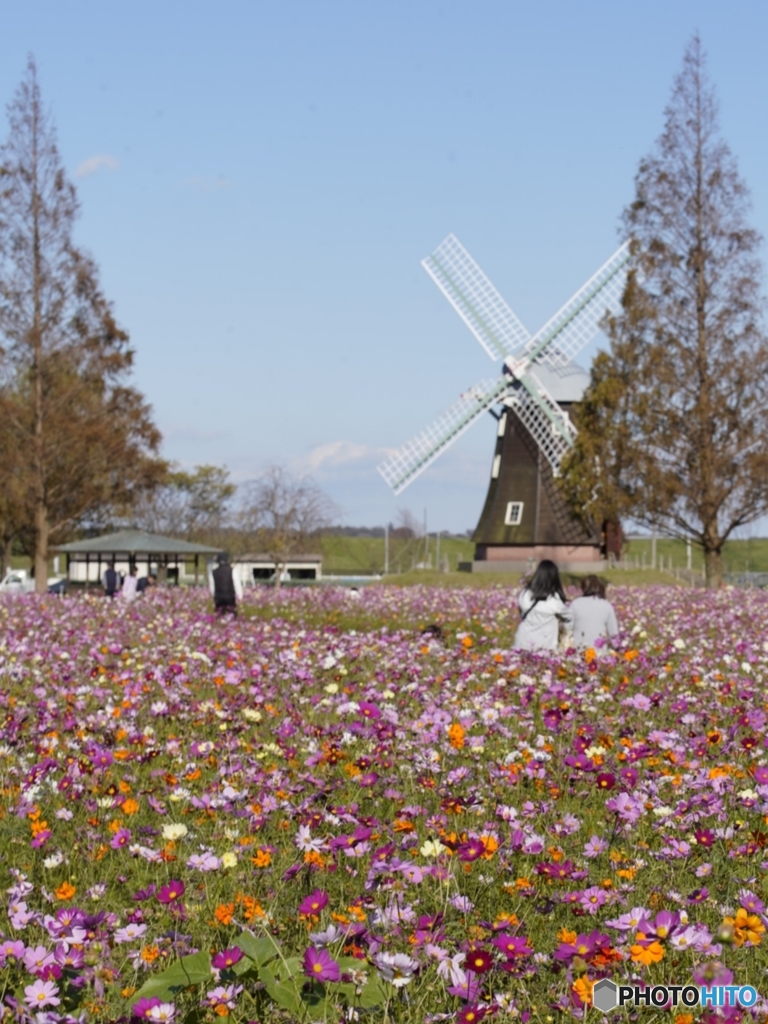 あけぼの山農業公園の秋