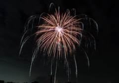 夜空に咲く一輪の花