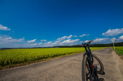 空と田んぼと自転車と