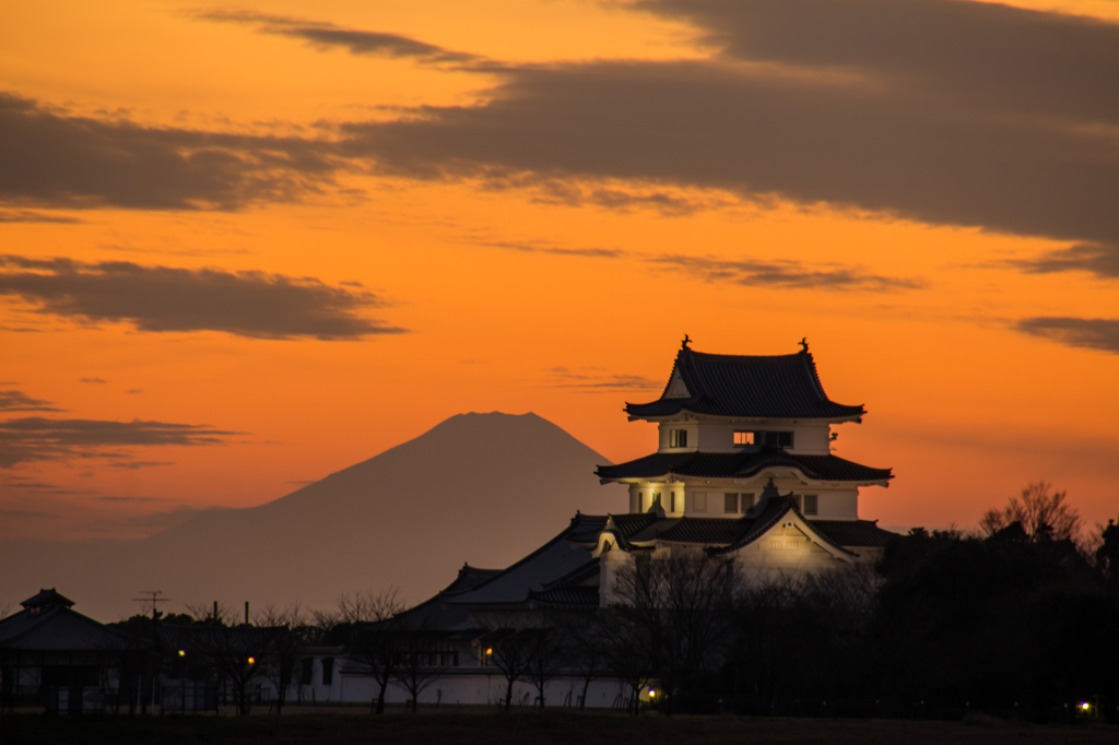 関宿城と富士