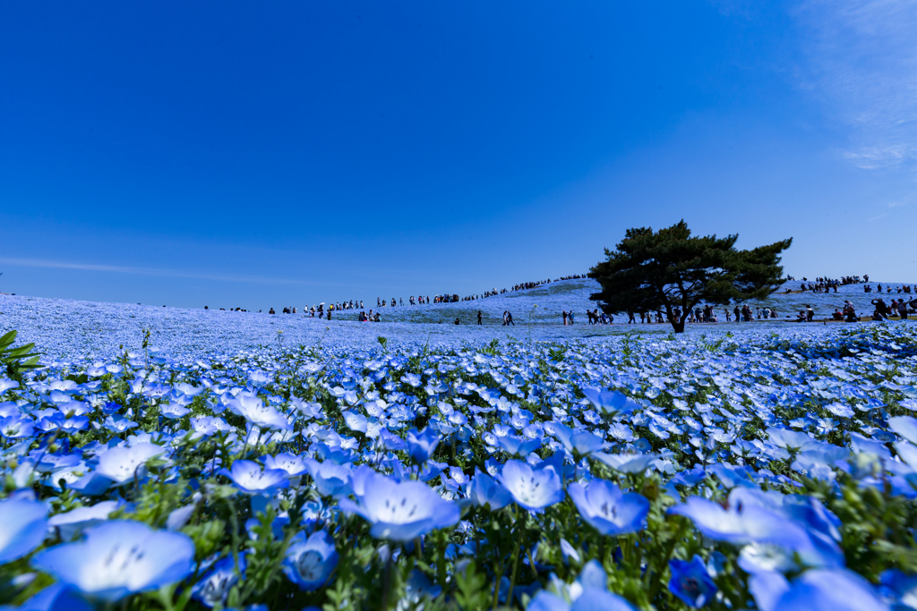 Earth blue sky