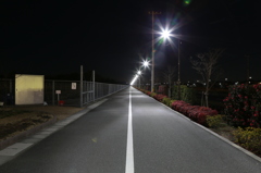 近所の歩道