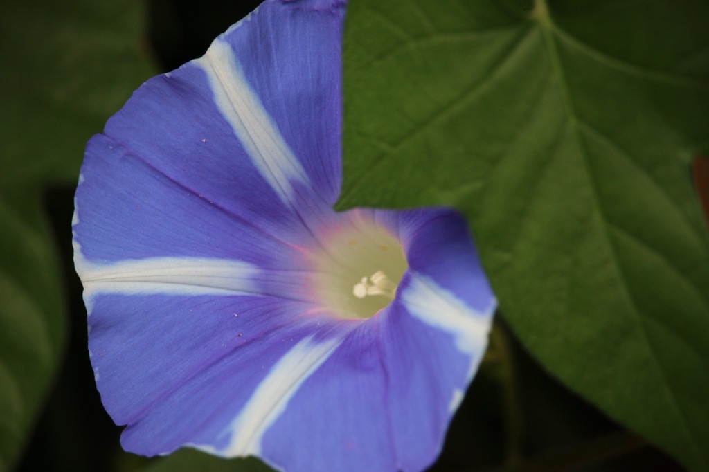 朝は起きてますか？