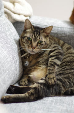 怒ってるんじゃないんだよ