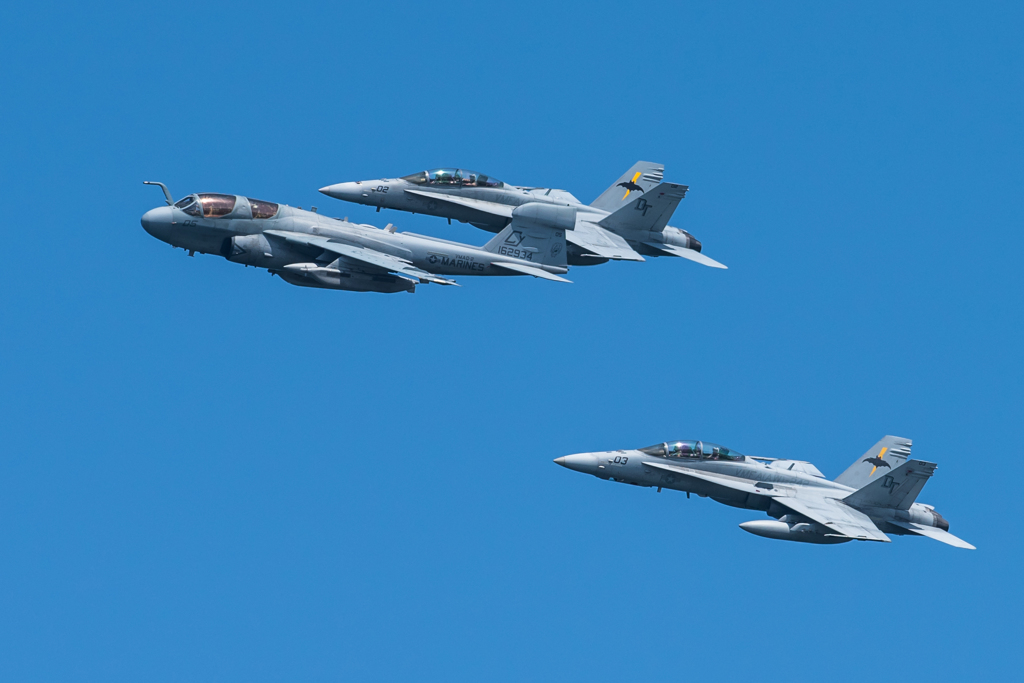 EA-6B & F/A-18 夢の共演♪