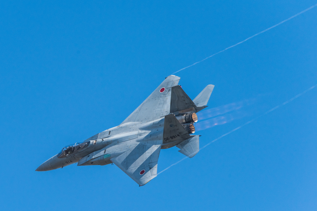 RJNG ADTW F-15J #914