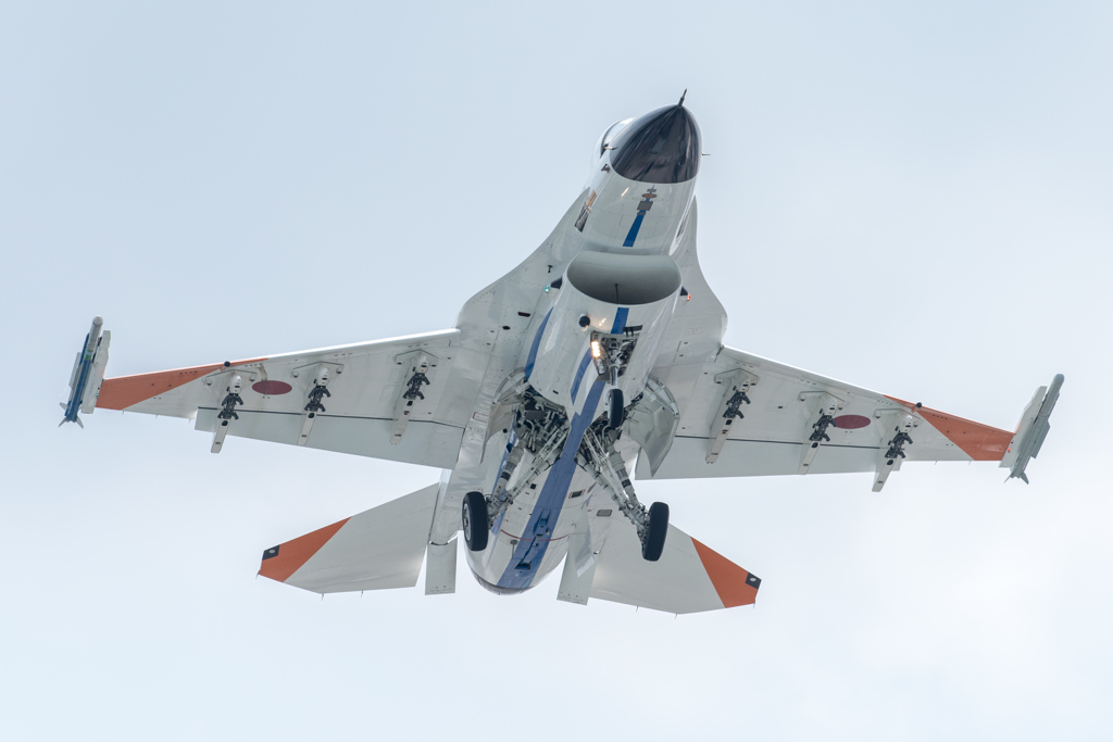 Odd-eye F-2A #502