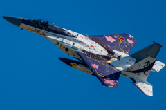 2024 小松基地航空祭 306飛行隊 記念塗装機