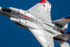 2024 ADTW F-15J 801 Special markings