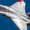 2024 ADTW F-15J 801 Special markings