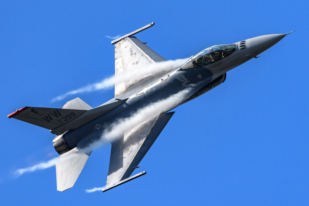 Fantastic Falcon　