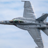 VFA-106 “Rhino” Demonstration Team