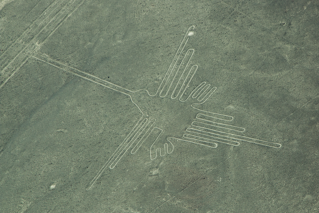 Nazca Lines　～hummingbird～