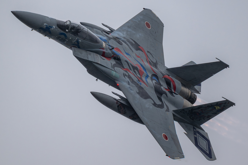 2025 小松基地航空祭 306飛行隊 記念塗装機