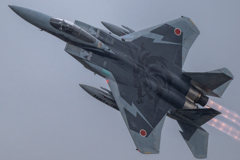 2025 小松基地航空祭 303飛行隊 記念塗装機