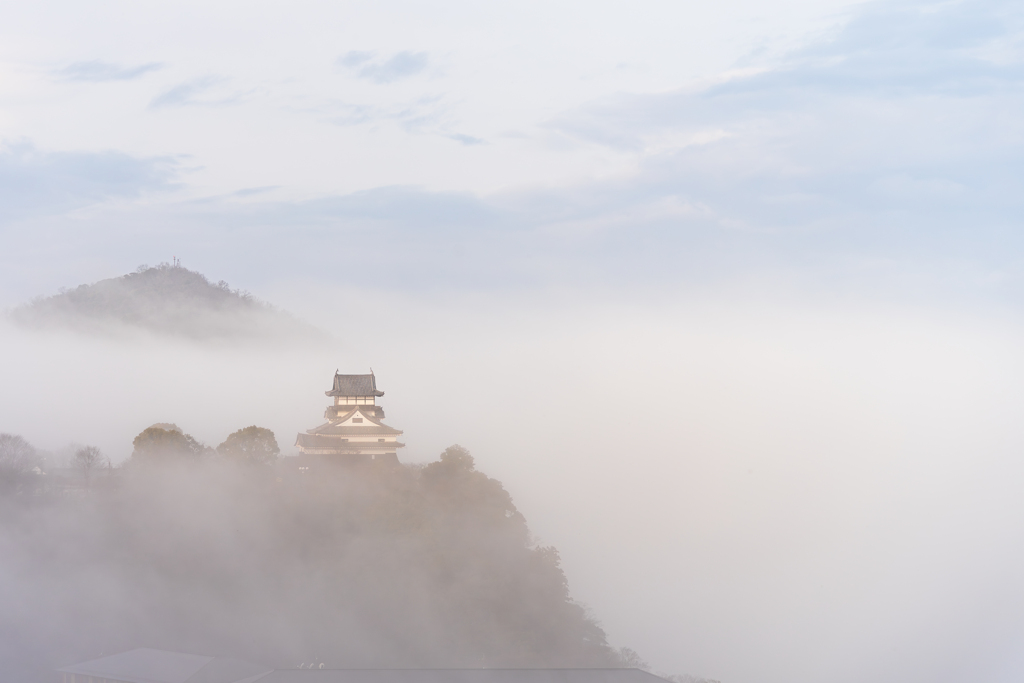 雲海に浮かぶ犬山城