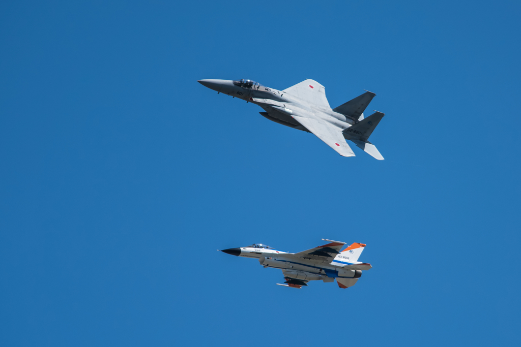 Element!! ADTW F-15J #801 & F-2A #502