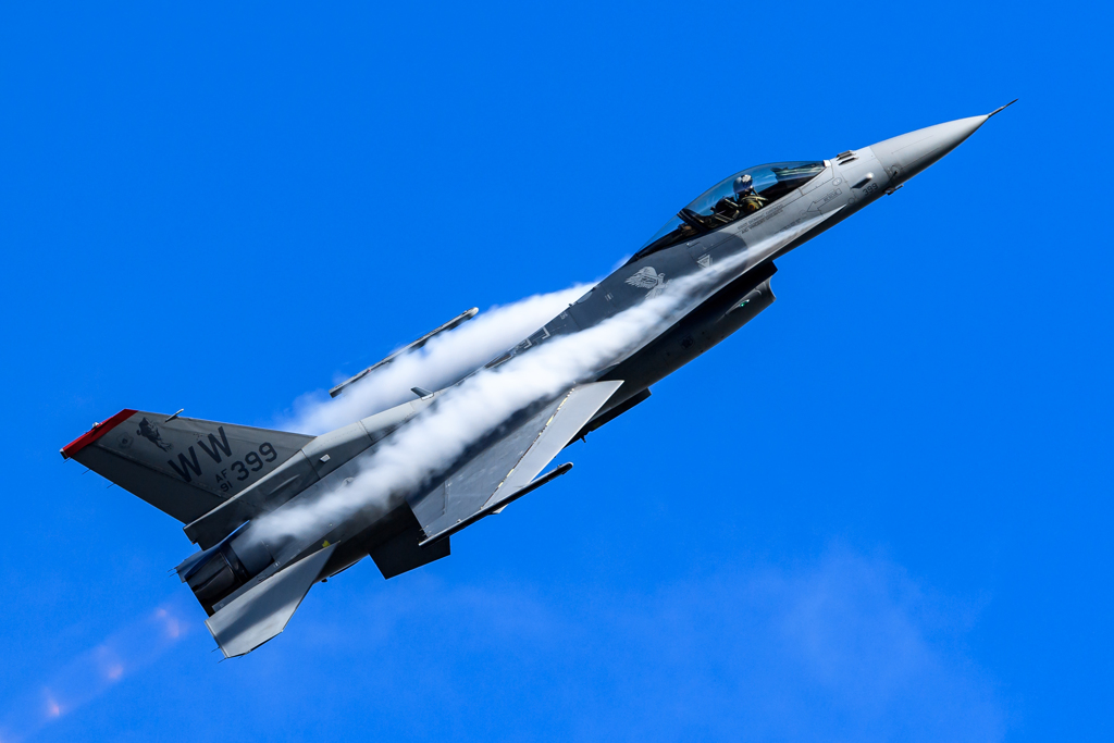 Gifu Falcon