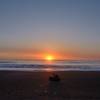 sunrize