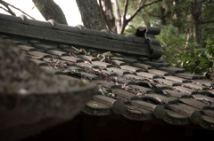 屋根に