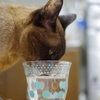 水飲み場