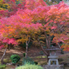 尾関山公園-3