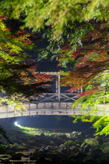 佛通寺-3