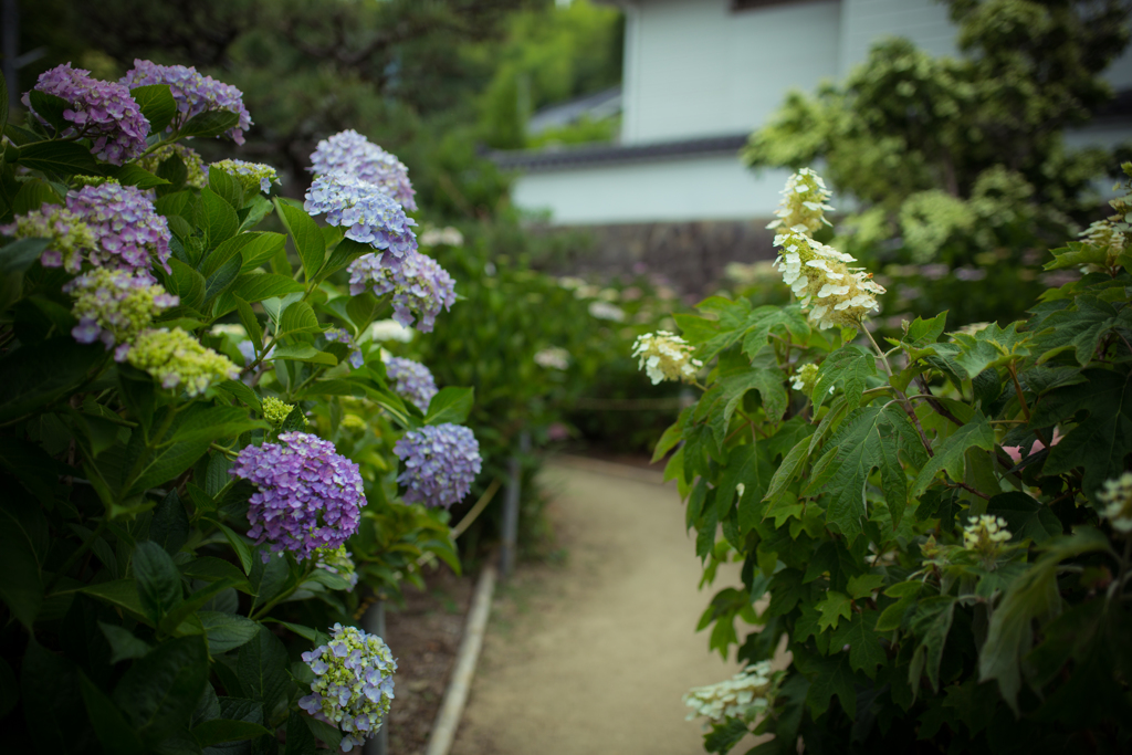 神宮寺-1