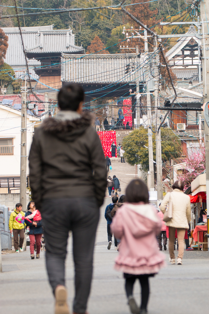 ひな祭りに行こう。。。