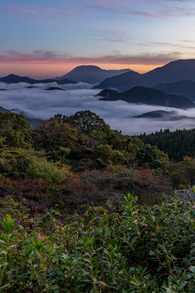 紅葉と明智峠の雲海