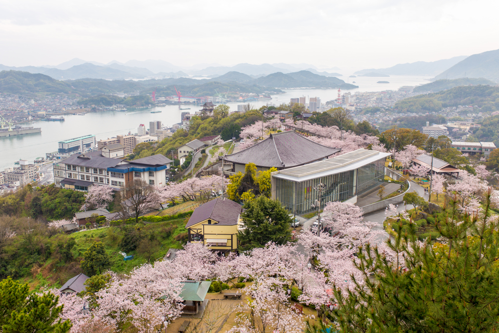 千光寺-6