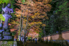 佛通寺ライトアップ-①