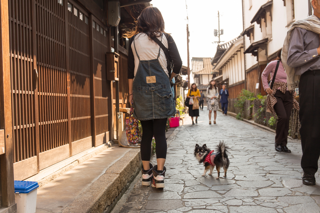 お散歩。。。
