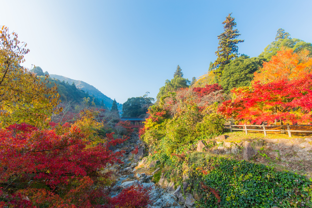 御調八幡宮。。。①