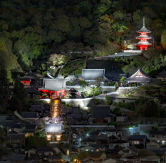西國寺のライトアップ
